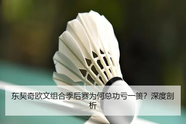 东契奇欧文组合季后赛为何总功亏一篑？深度剖析